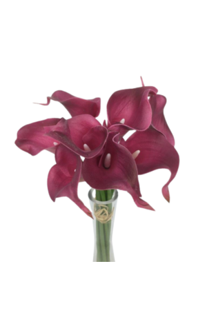 Maço Artificial Copo de Leite Vinho