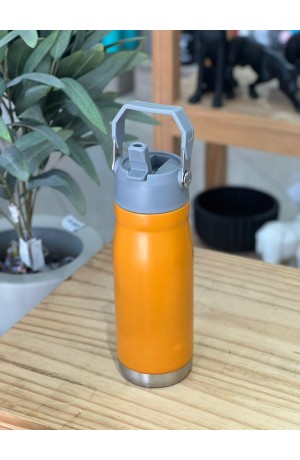 Garrafa Laranja Térmica de Inox com Alça - 650 ml