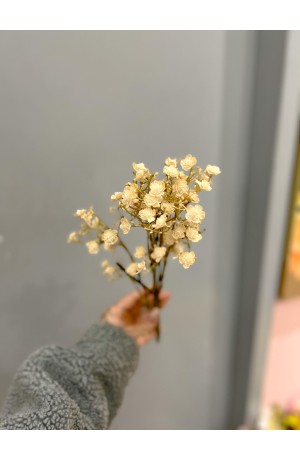 Haste de Mosquitinho Outono Creme - 48cm (Artificial)