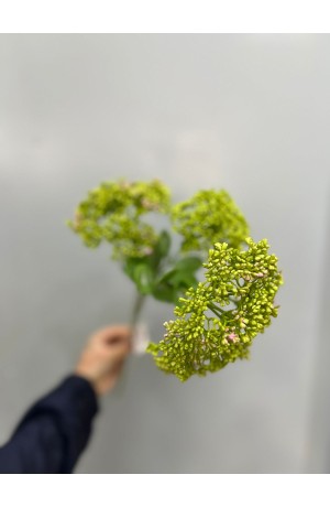 Haste de Telephium Verde - 58cm ( Artificial )