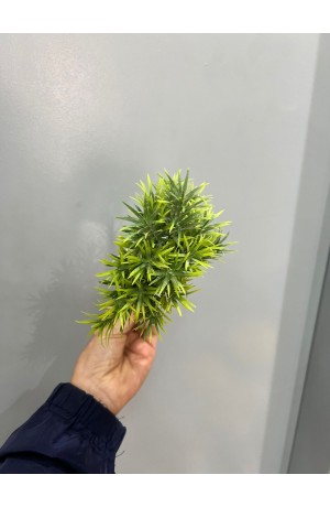 Alecrim 18cm ( Artificial)