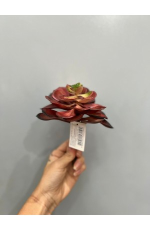 Suculenta Vinho - 17cm ( Artificial )