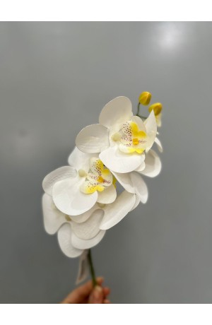Haste de Orquidea Branca c/ Amarelo - 60cm ( Artificial)
