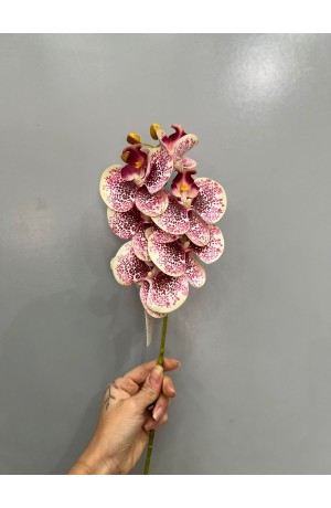 Haste de Orquidea Branca c/ Vinho - 60cm ( Artificial)