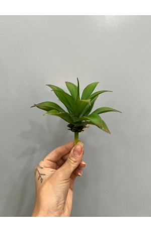Suculenta Verde ( Artificial ) - 6cm