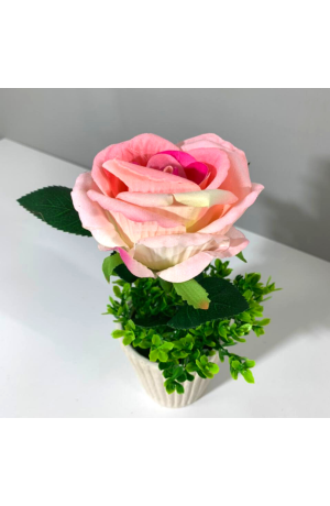 Vaso com Botão de Rosa Claro