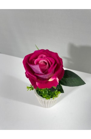 Vaso com Botão de Rosa Mesclada