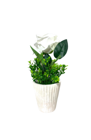 Vaso com Botão de Rosa Branca