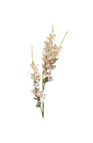 Haste de Orquidea Laranja