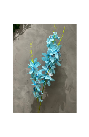 Haste de Orquidea Azul