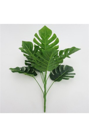 Buquê Costela De Adão 9 Hastes