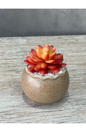 Vaso Areia com Suculenta Redondo Urban MOD.4