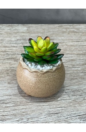 Vaso Areia com Suculenta Redondo Urban MOD.2